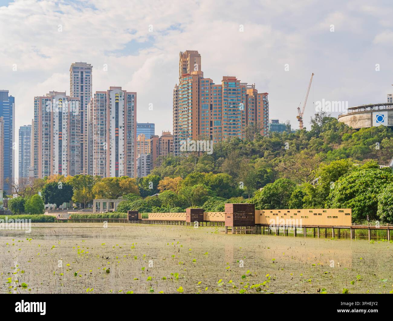 Una passerella di legno si estende su un terreno umido verso lo skyline della città. Foto Stock