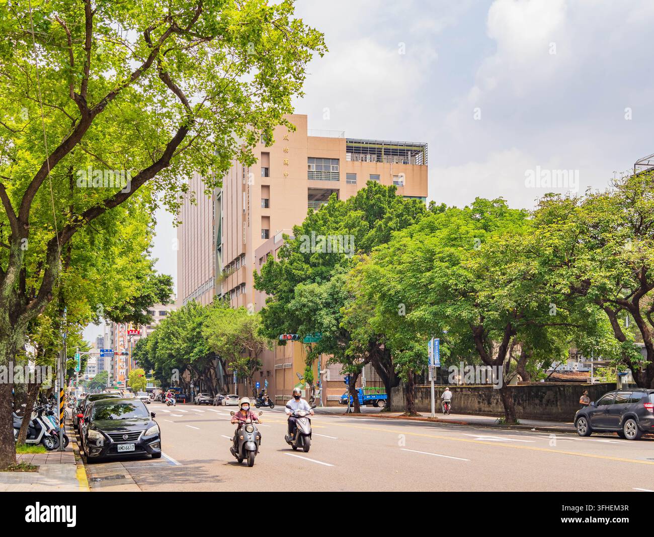 Taipei, Taiwan, 14 apr. 2024 – Alberi verdi vibranti costeggiano una larga strada cittadina mentre i motociclisti percorrono le corsie tra auto parcheggiate e edifici. Foto Stock
