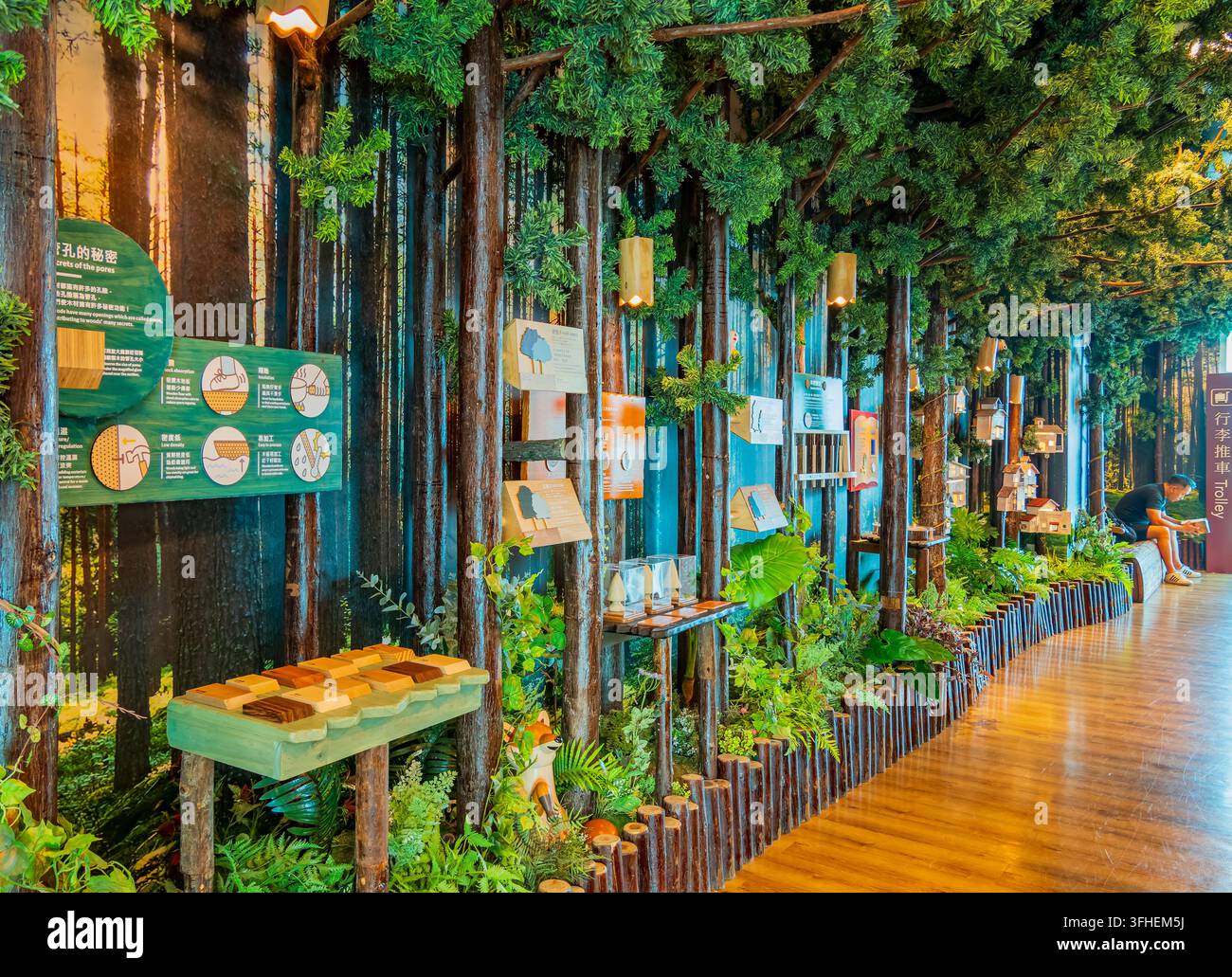Taipei, Taiwan, 15 apr. 2024 – Alberi artificiali alti circondano un'area espositiva con cartelli educativi, casette per uccelli e modelli in legno Foto Stock
