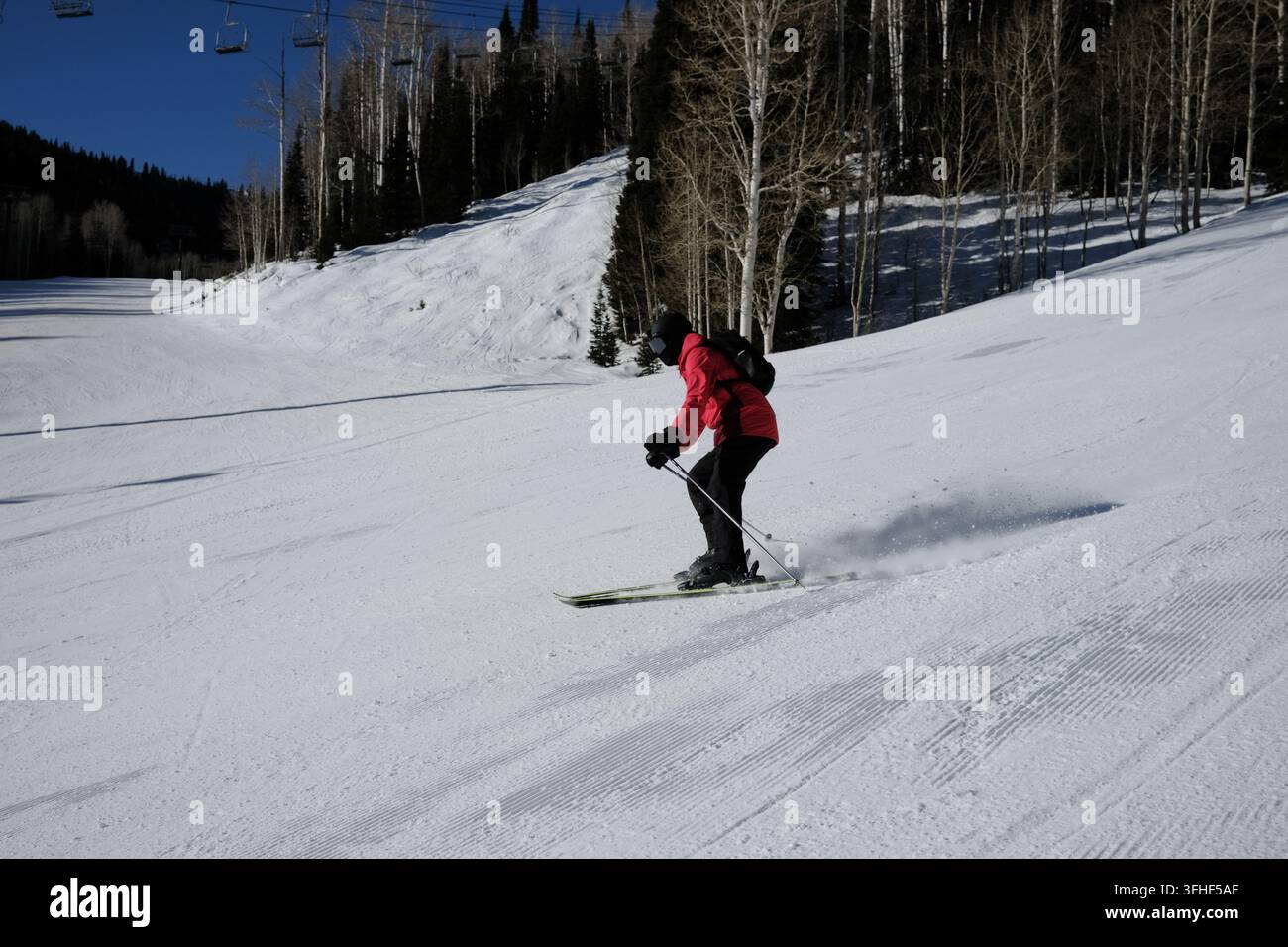 Sciatore che curva su una pista preparata sotto gli alberi di aspeno e un telecabina. Scena di sport invernali in una giornata di sole in una stazione sciistica dello Utah. Foto Stock
