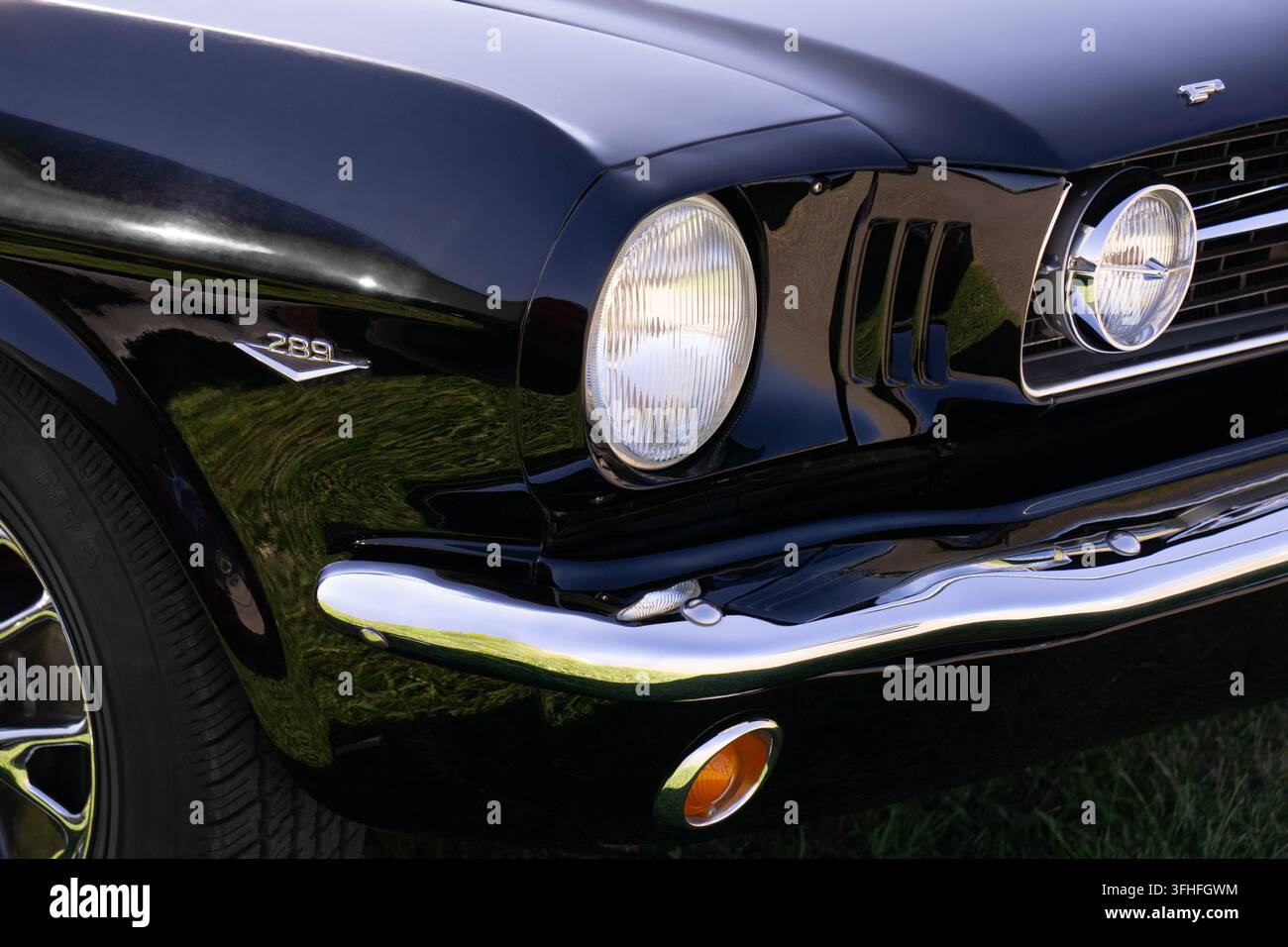 Prima vista di una Ford Mustang classica nera che mostra il suo emblema 289, i fari rotondi, la griglia, il paraurti cromato e la ruota anteriore. Foto Stock