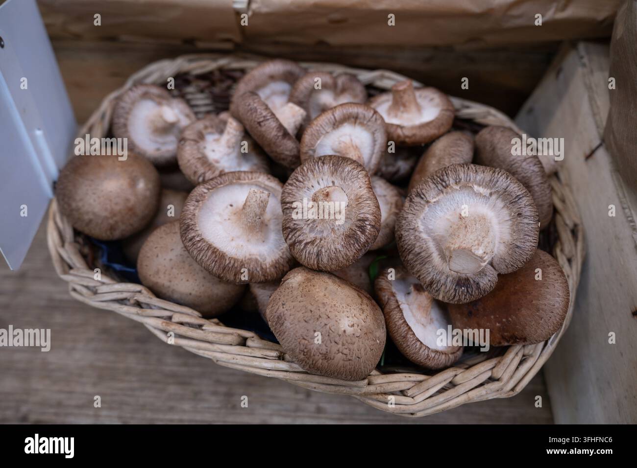 I funghi sono un alimento molto nutriente, povero di calorie e ricco di antiossidanti che si prendono cura della salute generale. Foto Stock