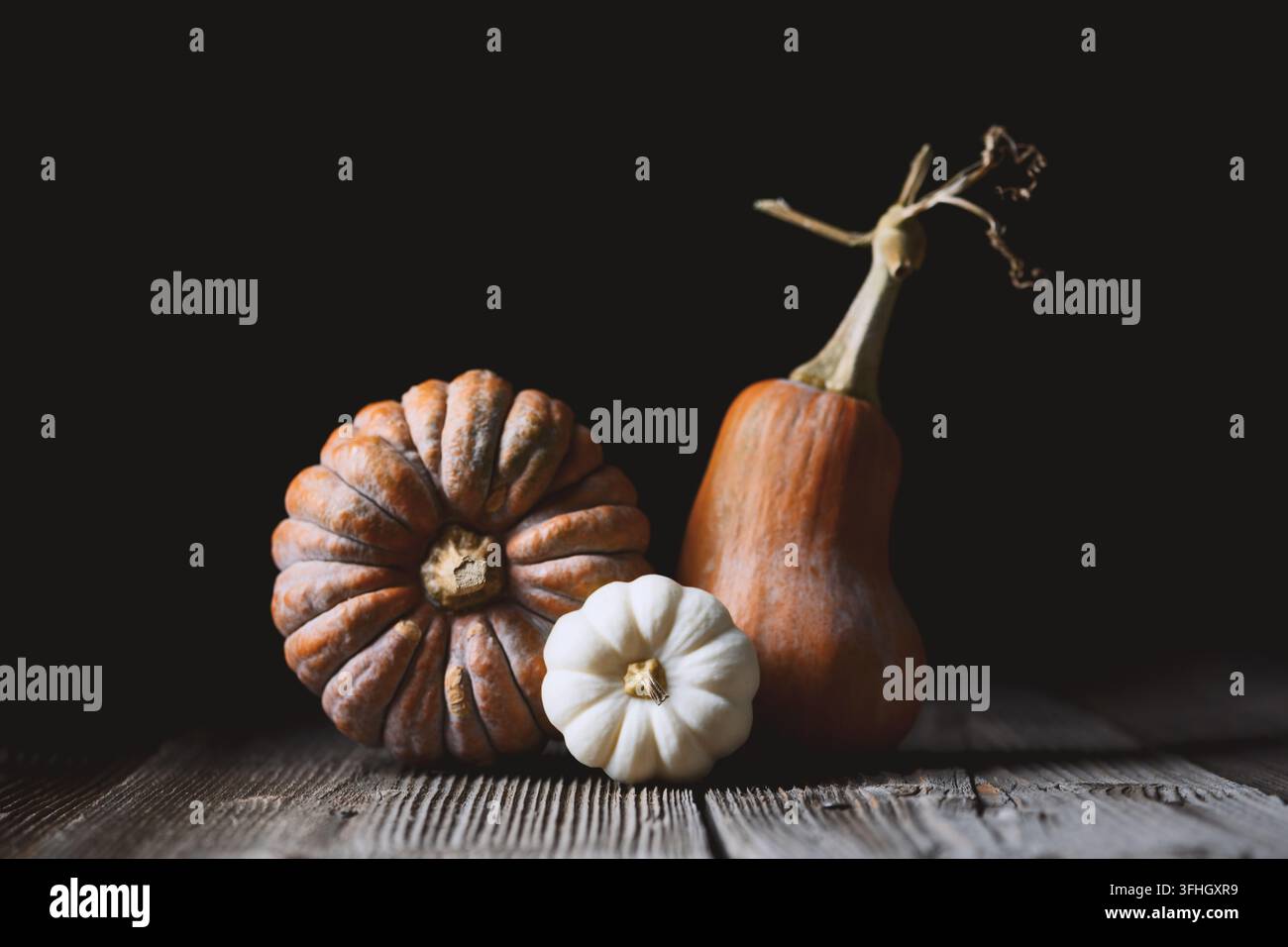 Zucche ornamentali accanto a zucchine alte su sfondo rustico scuro. Disposizione autunnale stagionale con zucche e stile drammatico a bassa chiave Foto Stock