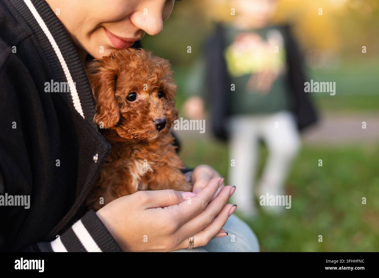 Cucciolo di Toy Poodle tenuto dal proprietario all'aperto Foto Stock