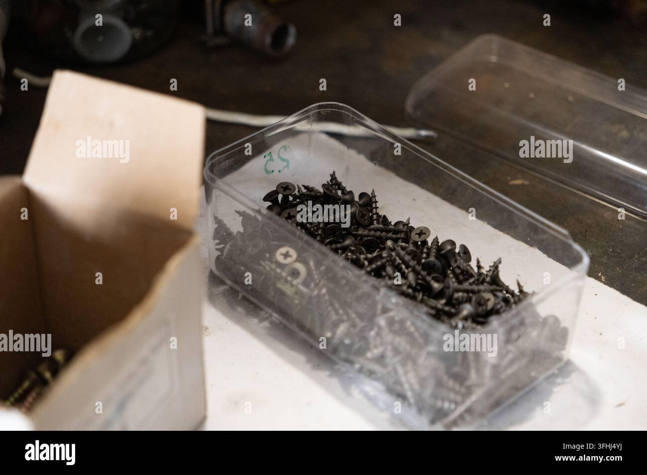 Viti metalliche riposano in un vassoio organizzatore trasparente su una superficie polverosa del garage, rappresentando l'hardware essenziale per lavori di ristrutturazione, compiti di assemblaggio, Foto Stock
