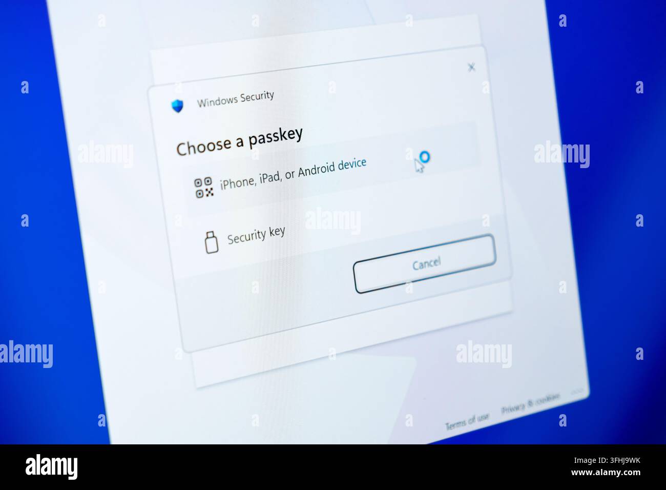 Pozna, Polonia – 15 febbraio 2026: Uno schermo che mostra un'interfaccia di sicurezza informatica che richiede una chiave di accesso, rappresentando la sicurezza informatica e la verifica dell'identità Foto Stock
