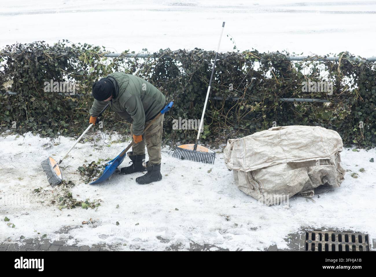 Un individuo che rimuove i detriti del giardino utilizzando attrezzi vicino a una siepe ghiacciata, dimostrando gli sforzi di manutenzione stagionale che garantiscono la sicurezza e l'ordine della comunità Foto Stock