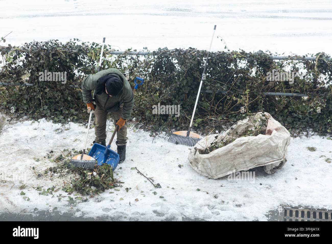 Un individuo che rimuove i rifiuti del giardino da un marciapiede innevato utilizzando attrezzi da giardino, catturando lo sforzo di mantenere gli spazi comuni ordinati durante il freddo Foto Stock