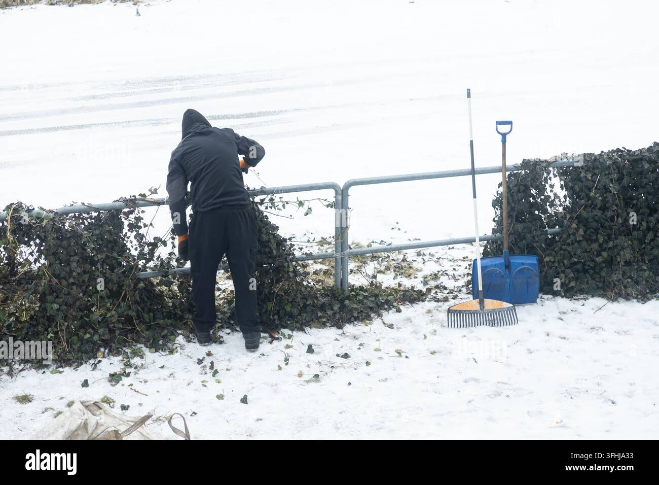 Persona che pulisce le viti da una ringhiera in condizioni meteorologiche nevose, utilizzando un rastrello e una pala per riordinare lo spazio del giardino durante una gelida giornata invernale, rappresentando Foto Stock