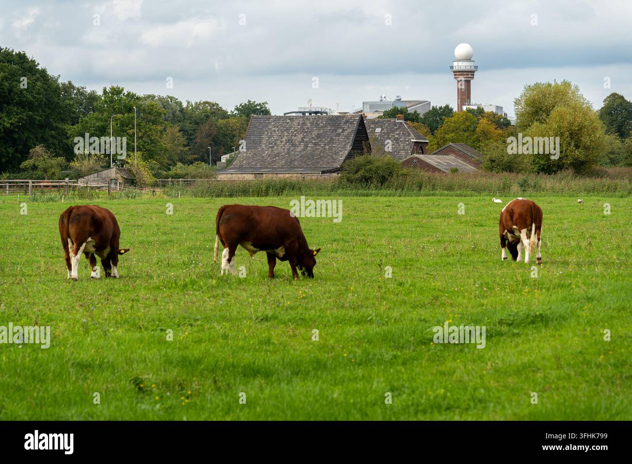 Torre radar meteorologico dell'Istituto Meteorologico Reale dei Paesi Bassi a De Bilt, vista da un campo agricolo vicino Foto Stock