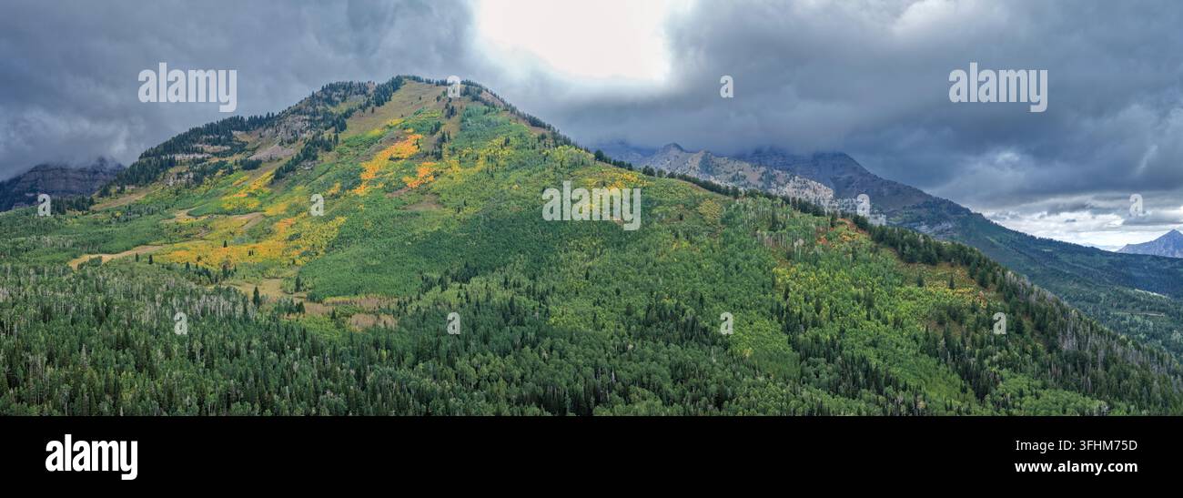 Vista aerea della Alpine Loop Scenic Byway che mostra la transizione autunnale precoce nei pioppi tremuli, nei ginepri, nelle querce arbustive e nella foresta sempreverde con cieli tempestosi Foto Stock