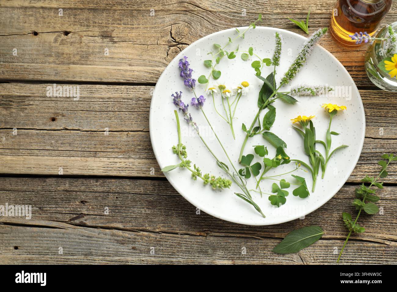 Diverse erbe aromatiche con fiori bellissimi e olio essenziale su tavolo di legno, flat lay. Spazio per il testo Foto Stock