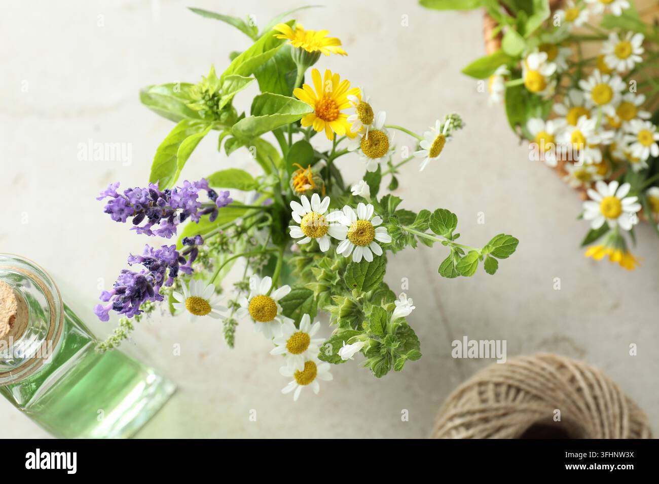 Diverse erbe aromatiche con fiori bellissimi in vaso, cesto di vimini, bottiglia di olio essenziale e corda su tavolo grigio, flat lay Foto Stock