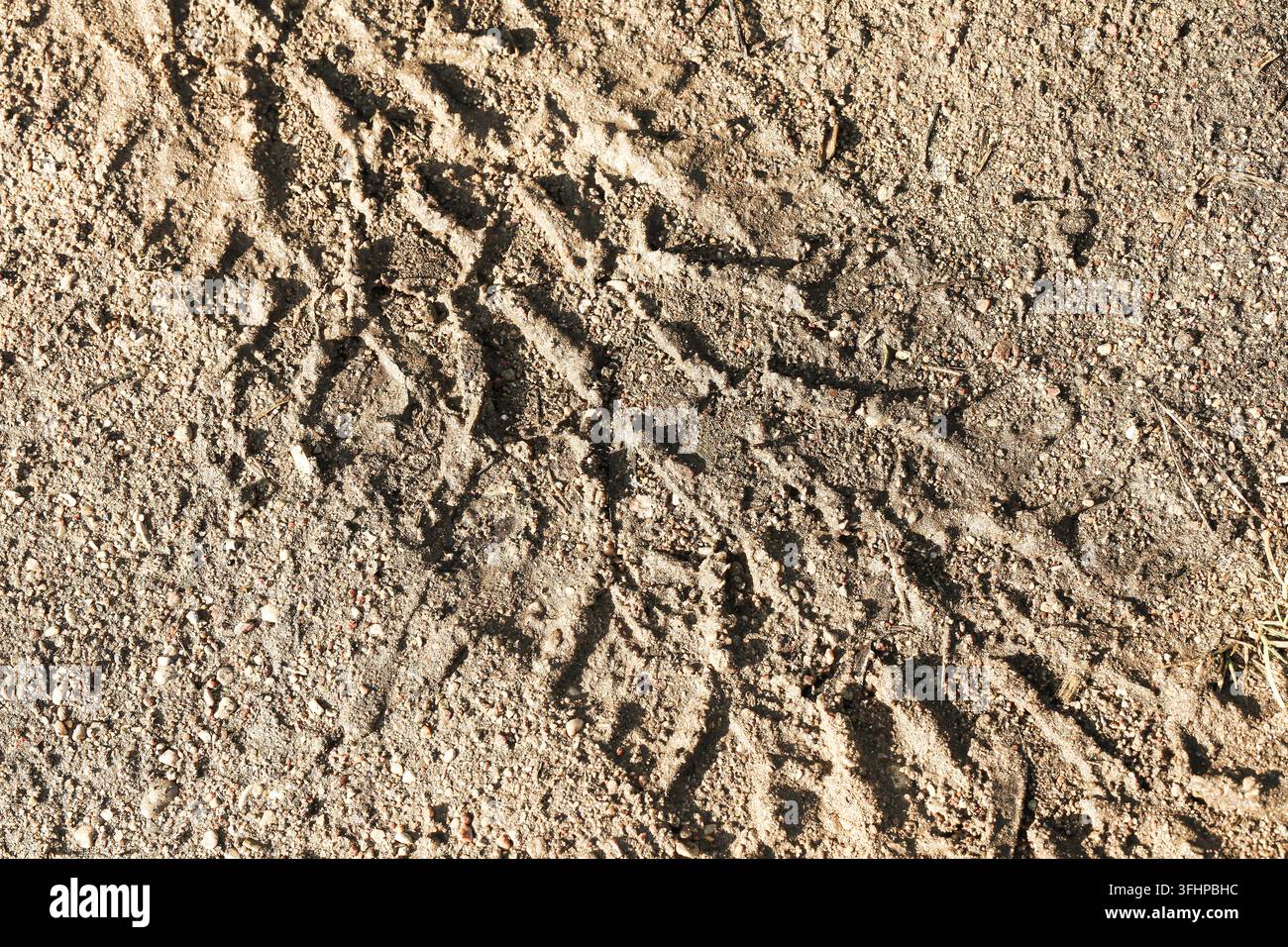 Impronte e segni di scarpe premuti in terreno sabbioso asciutto. Sfondo di texture per tracce di camminata, tracce umane, suolo, sabbia e superficie esterna. Foto Stock