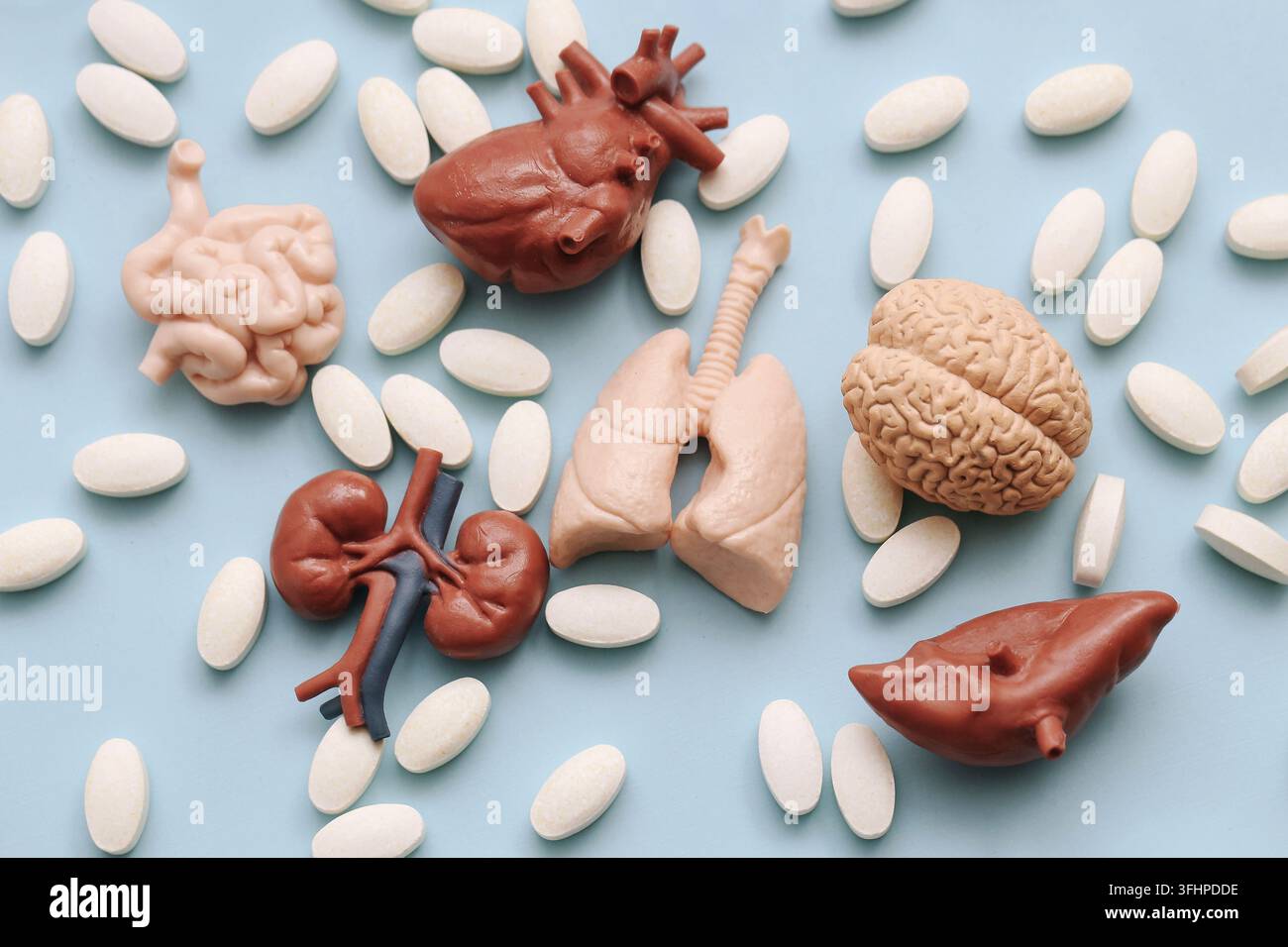 Modelli di organi umani con compresse mediche bianche su superficie blu. Sfondo medico per il trattamento sanitario, farmaci, anatomia e salute degli organi. Foto Stock
