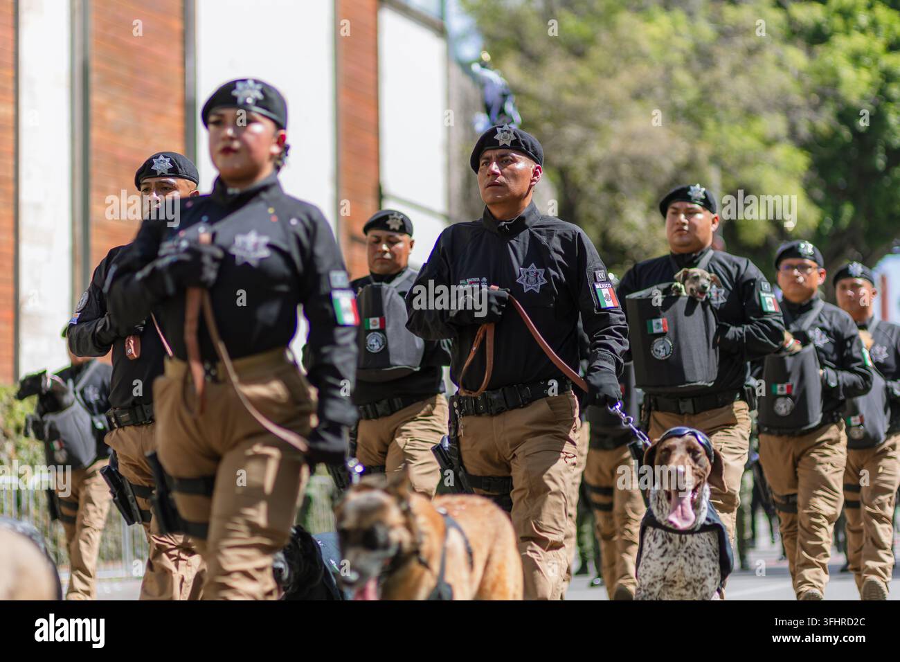 Puebla, Messico - 16 settembre 2026: Addestratori di cani in uniforme sfilano con i loro cani durante la parata del Giorno dell'Indipendenza. Foto Stock