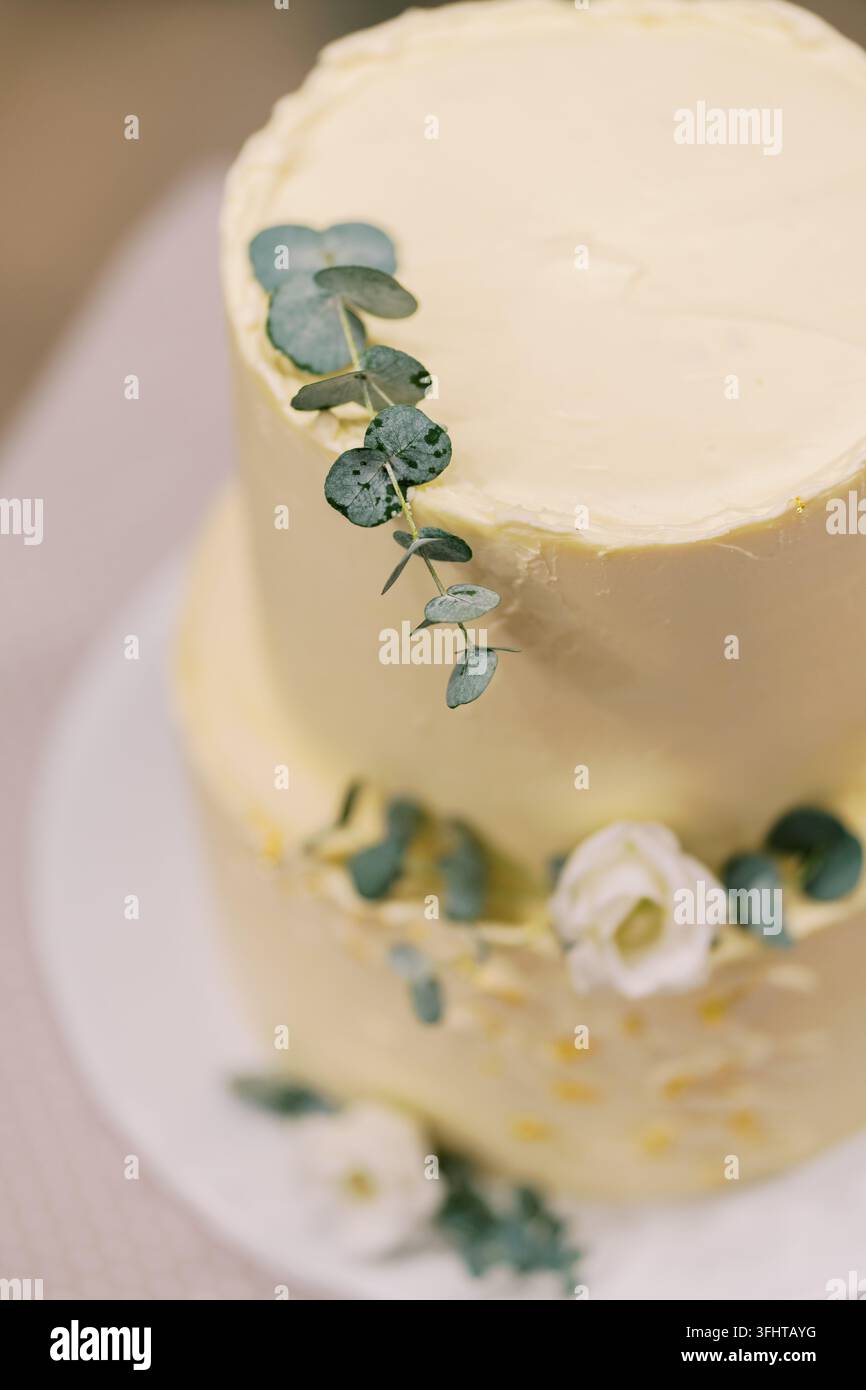 Elegante torta nuziale a due piani con eucalipto e fiori bianchi Foto Stock