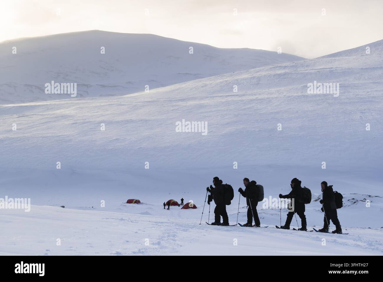 Comune di Dovre, Innlandet, Norvegia - 18 febbraio 2020: Vista di quattro persone che praticano sci di fondo attraverso il paesaggio innevato di Dovrefjell con tende Foto Stock