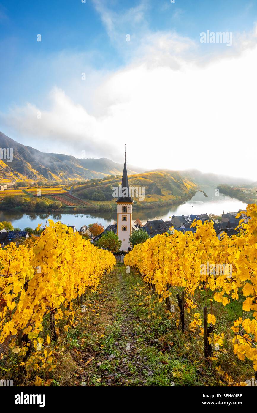 Fiume in Germania che compie una curva di 180 gradi. Con vigneti e un paesaggio bellissimo Foto Stock
