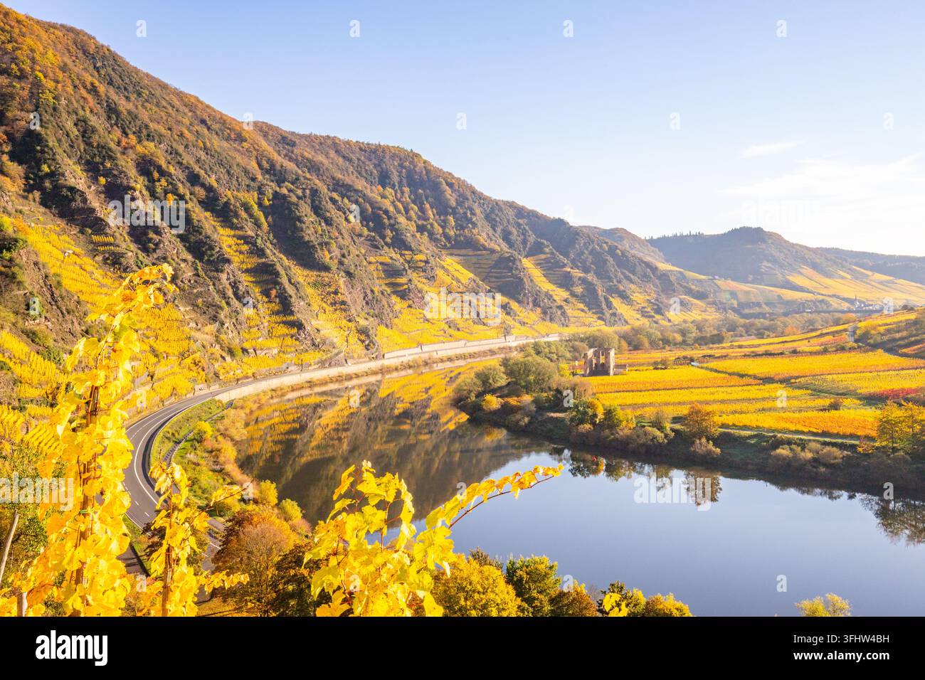 Fiume in Germania che compie una curva di 180 gradi. Con vigneti e un paesaggio bellissimo Foto Stock