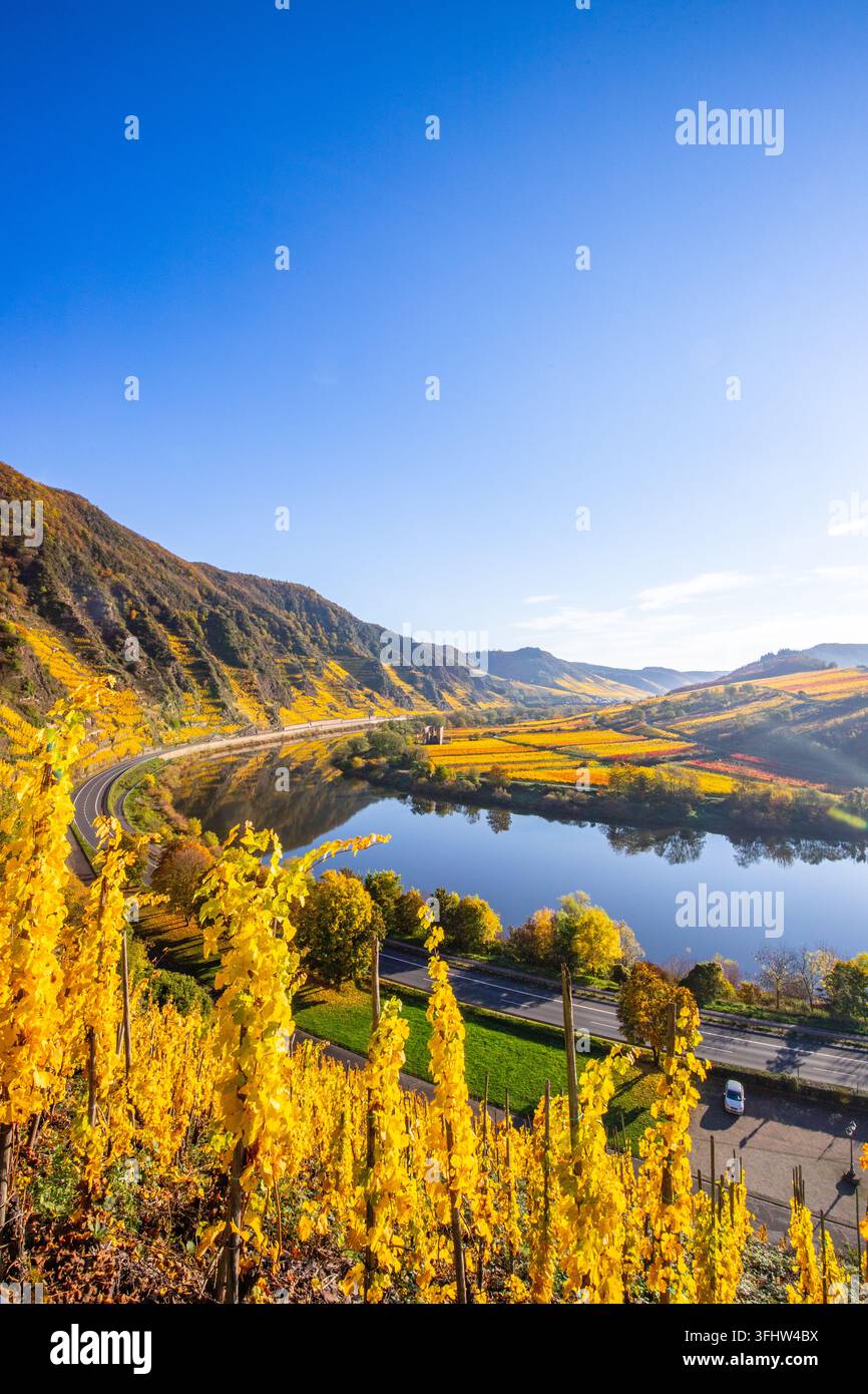 Fiume in Germania che compie una curva di 180 gradi. Con vigneti e un paesaggio bellissimo Foto Stock