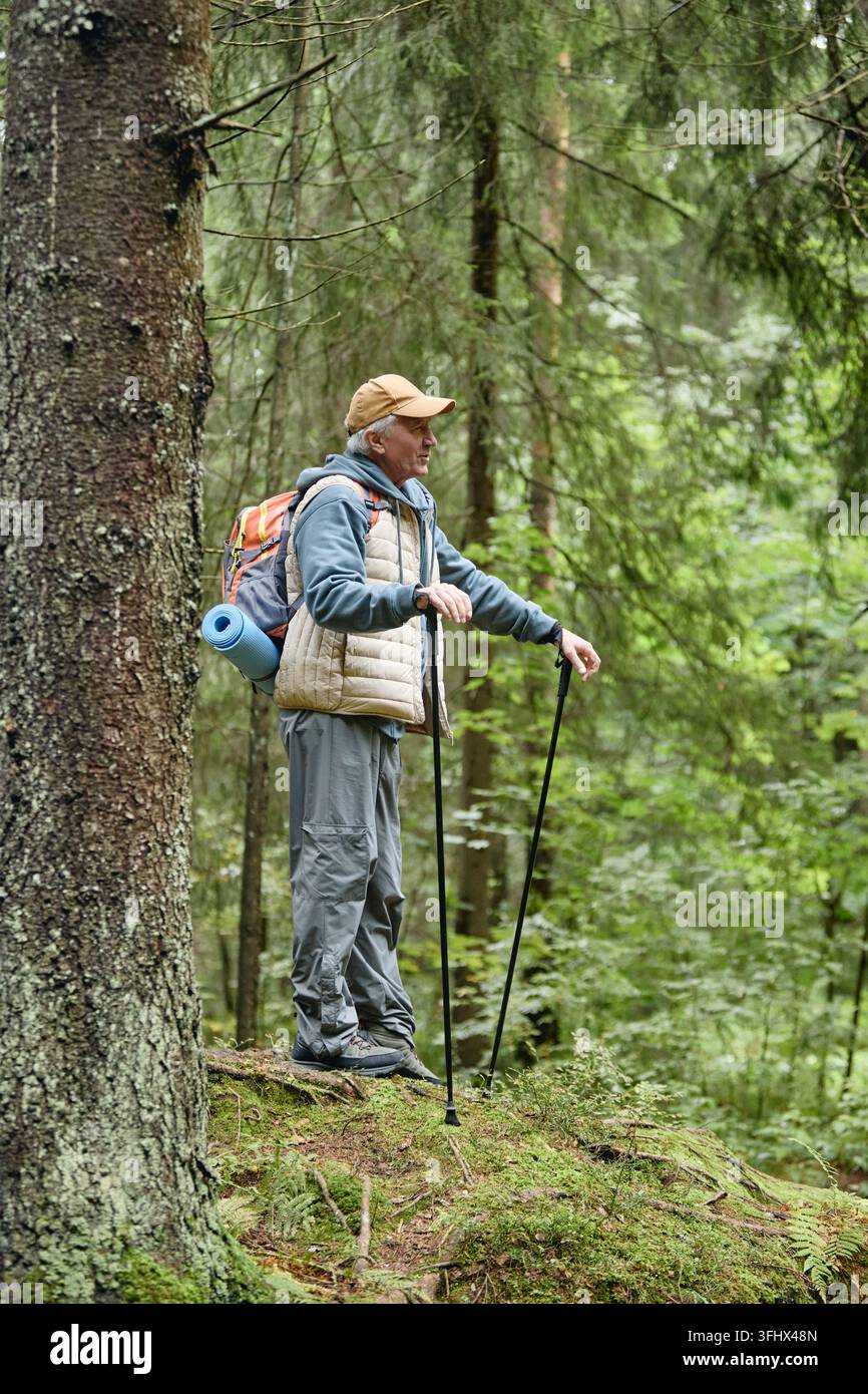 Uomo anziano con zaino che riposa con bastoni da nordic walking nel bosco Foto Stock