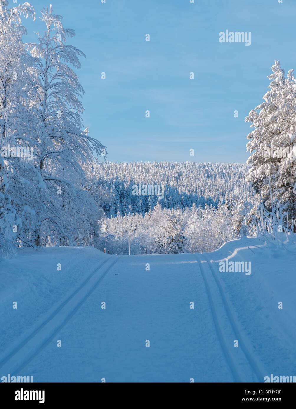 Esplora la bellezza mozzafiato del villaggio di Akaslompolo in Lapponia, Finlandia, dove la neve ricopre il paesaggio. Goditi la tranquillità e il fascino di questo hotel Foto Stock