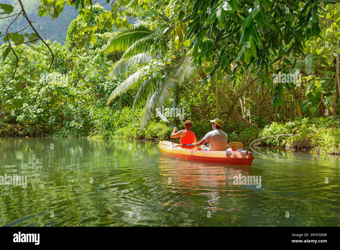 POLINESIA FRANCESE. ISOLA DI RAIATEA. KAYAK SUL FIUME FAAROA, L'UNICO FIUME NAVIGABILE DELLA POLINESIA FRANCESE Foto Stock