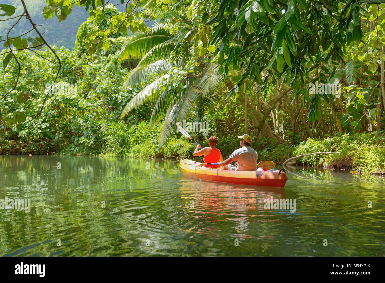 POLINESIA FRANCESE. ISOLA DI RAIATEA. KAYAK SUL FIUME FAAROA, L'UNICO FIUME NAVIGABILE DELLA POLINESIA FRANCESE Foto Stock