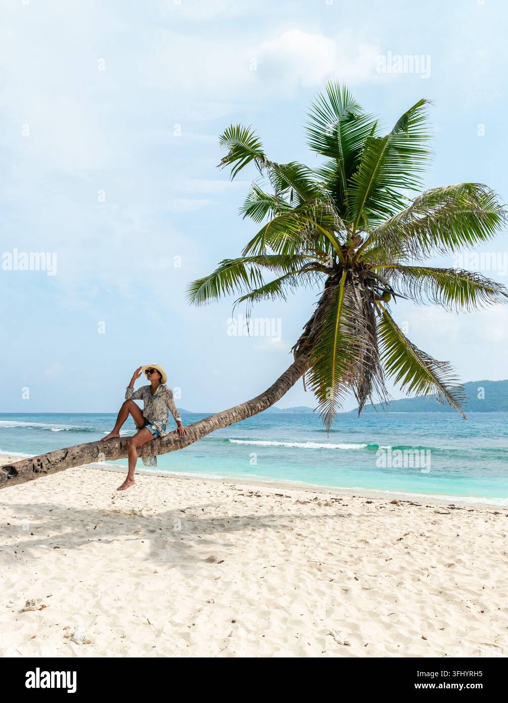 Rilassarsi sotto una palma su una bellissima spiaggia alle Seychelles Foto Stock