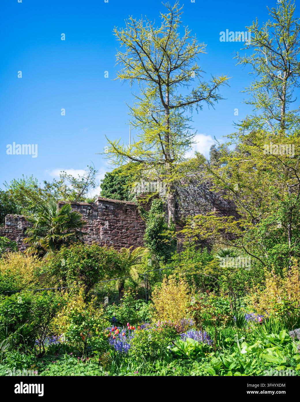 I Northernhay Gardens di Exeter furono progettati per la prima volta nel 1612 sullo sfondo delle mura romane vecchie di 2000 anni. Exeter, Devon, Inghilterra, Regno Unito. Foto Stock