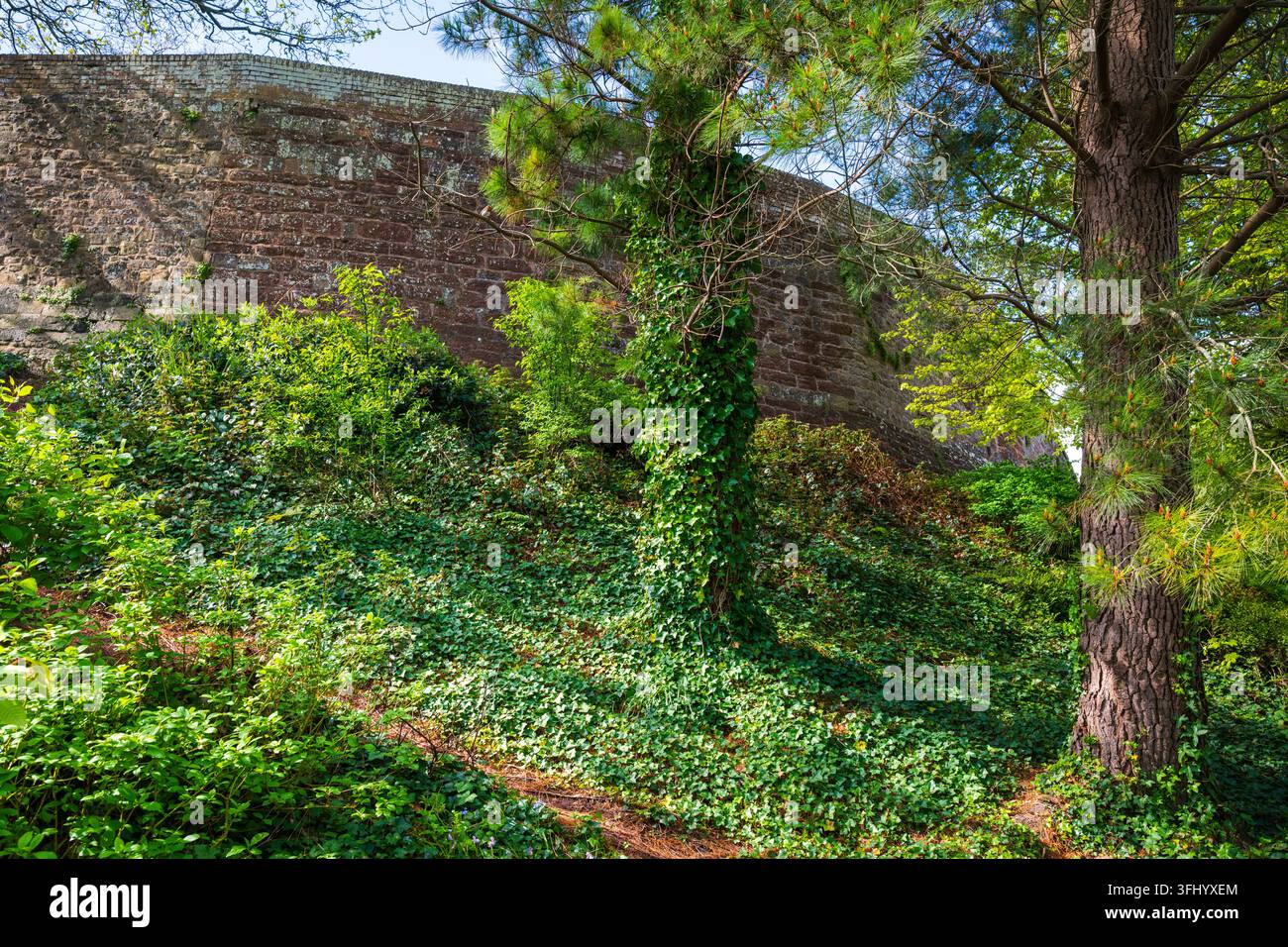 I Northernhay Gardens di Exeter furono progettati per la prima volta nel 1612 sullo sfondo delle mura romane vecchie di 2000 anni. Exeter, Devon, Inghilterra, Regno Unito. Foto Stock