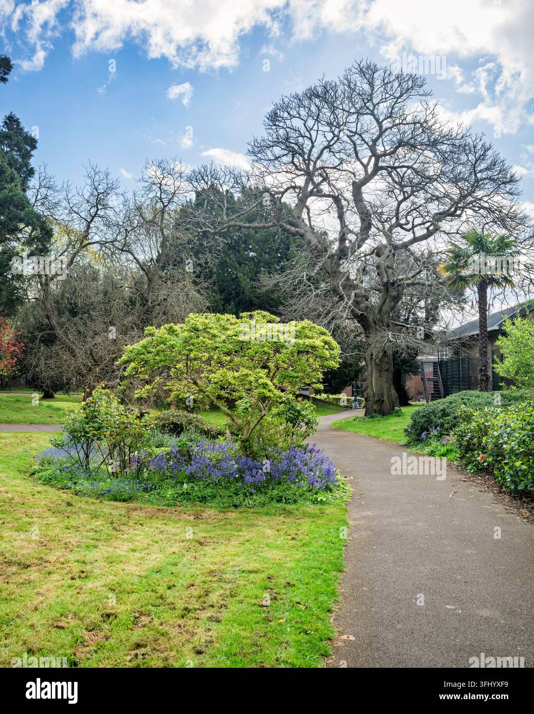 Rougemont Gardens è un parco ornamentale adiacente al Rougemont Castle a Exeter, Devon, Inghilterra, Regno Unito. Foto Stock
