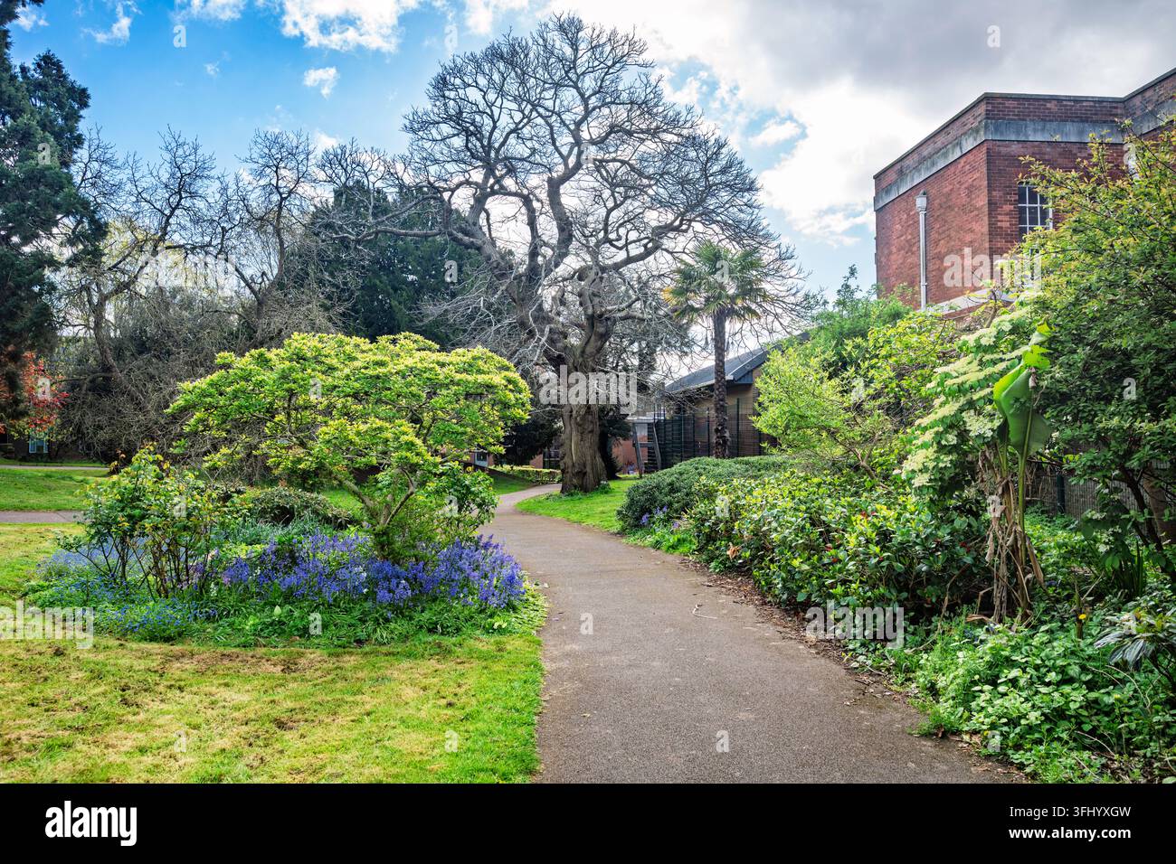 Rougemont Gardens è un parco ornamentale adiacente al Rougemont Castle a Exeter, Devon, Inghilterra, Regno Unito. Foto Stock