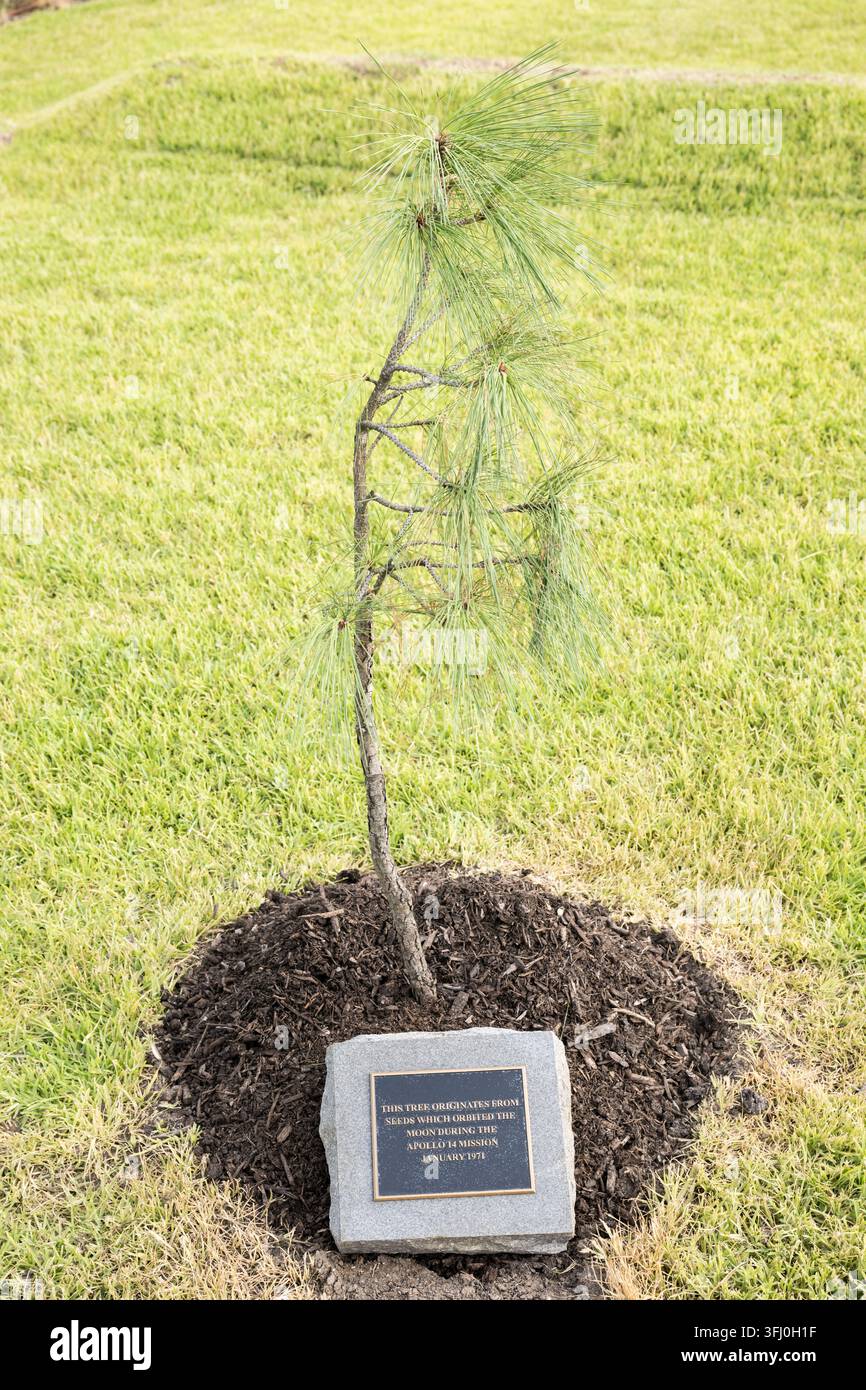 Albero lunare dell’Apollo 14, Centro spaziale Johnson, Texas, 25 giugno 2026 Foto Stock