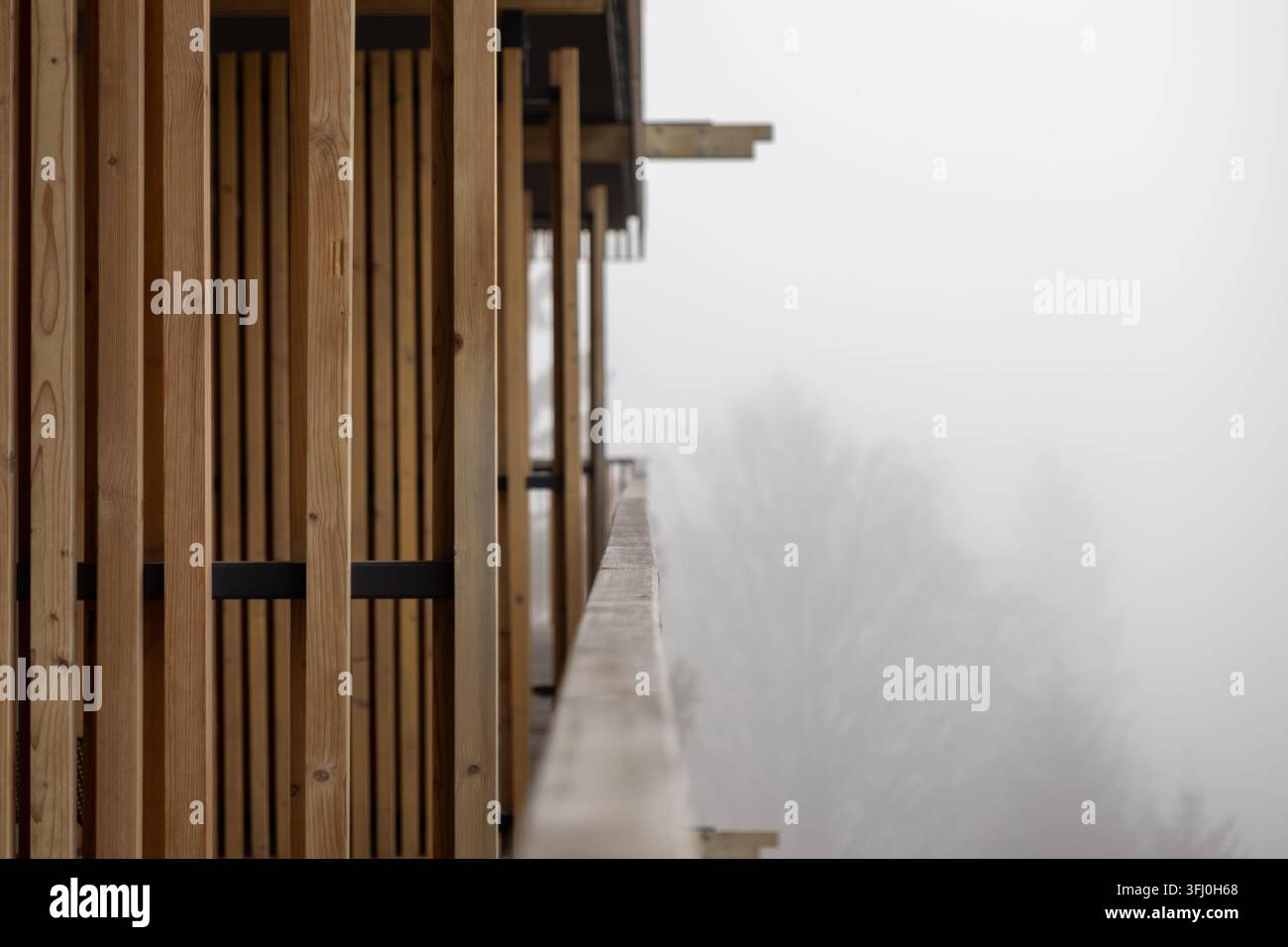 La vista prospettica di una facciata verticale a doghe in legno si affaccia su una foresta nebbiosa, fondendo design esterno moderno con elementi naturali per esprimere un Foto Stock