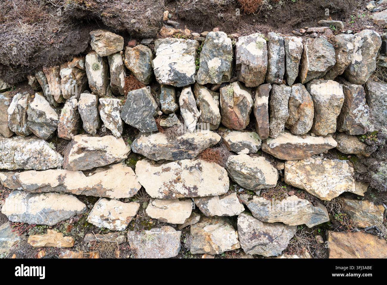 Sezione di muro a secco Foto Stock