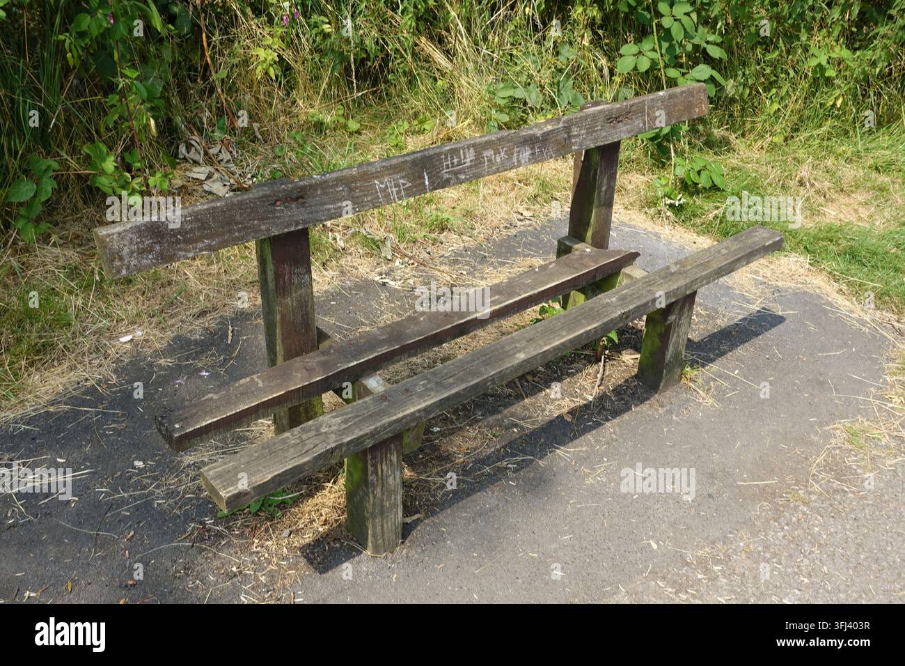 Vecchia panchina pubblica in legno consumata con graffiti graffiati sullo schienale, circondata da vegetazione invasiva ed erba secca accanto a un sentiero lastricato a Mos Foto Stock