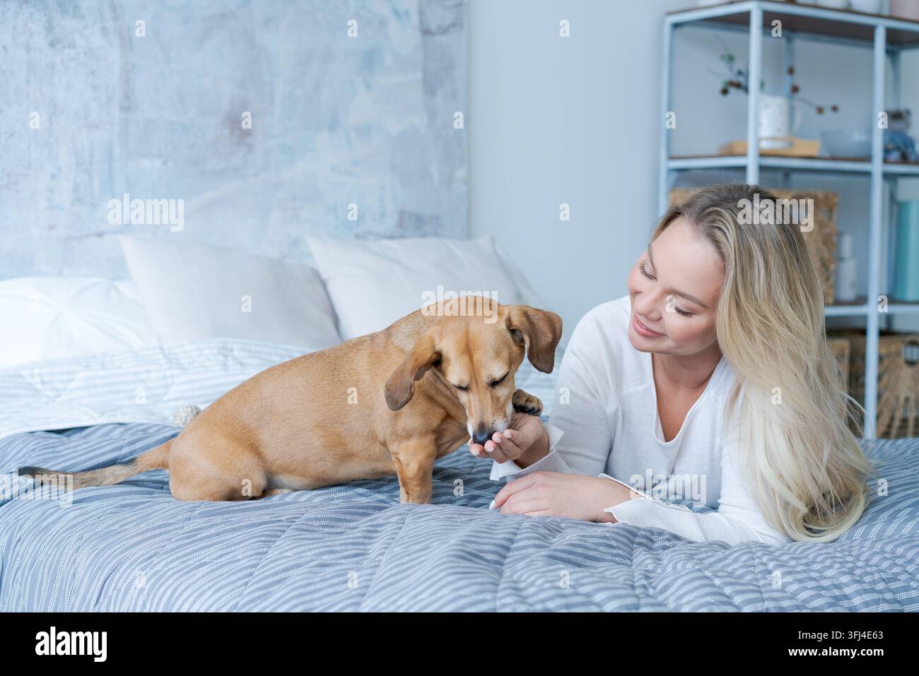Donna che nutre il suo cane con uno snack per la nutrizione e la cura degli animali domestici Foto Stock