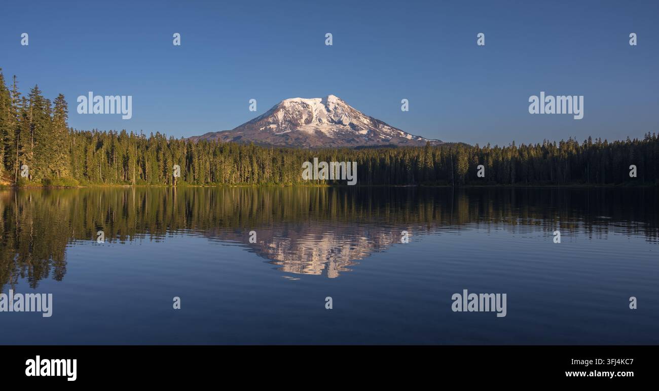 Il monte Adams si riflette nelle acque calme del lago Takhlakh nello stato di Washington, USA, circondato da una foresta sempreverde. Foto Stock