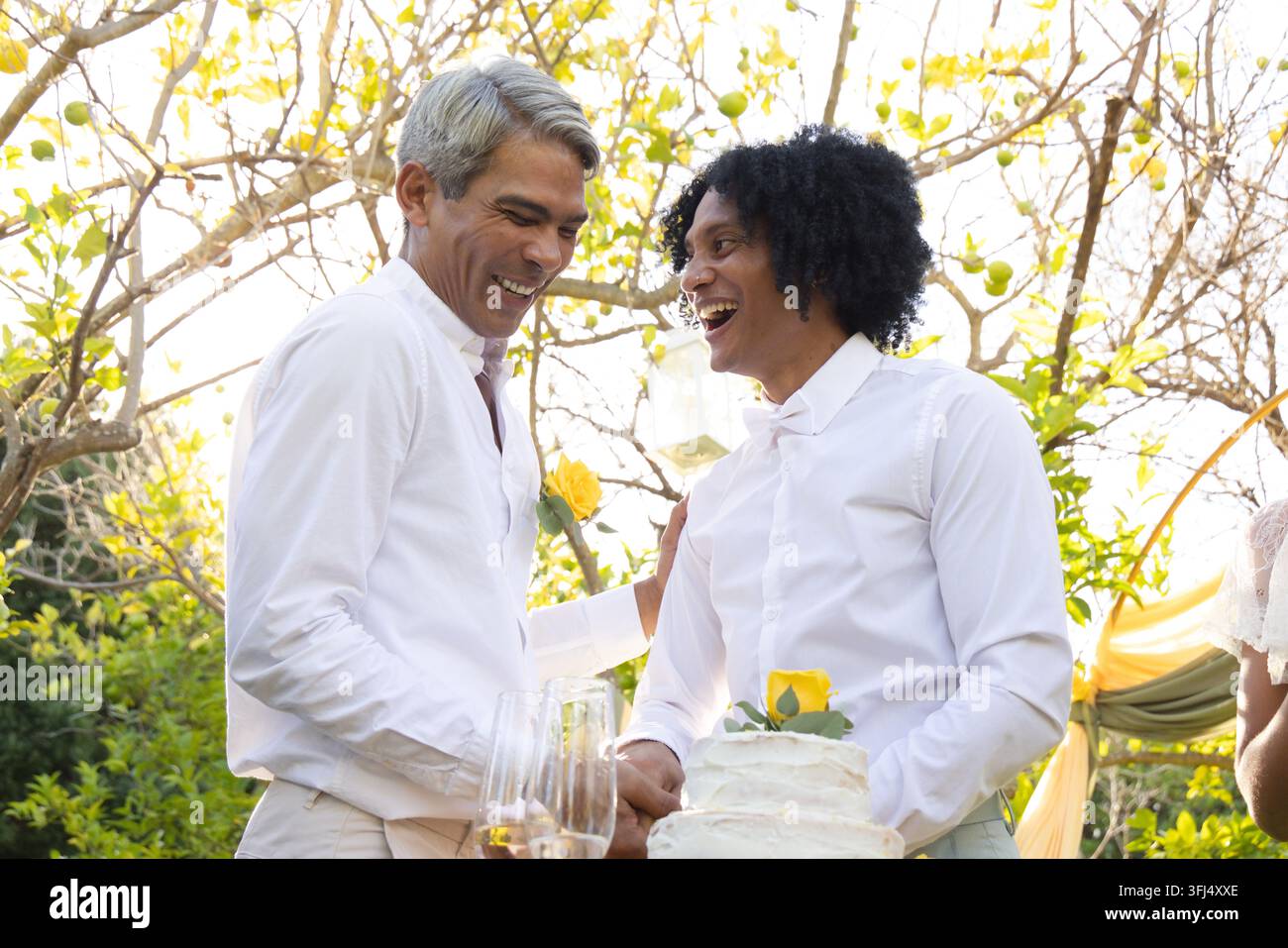 Partner afroamericani maschi che ridono e toccano una torta bianca a più piani in giardino, con camicie bianche. Cortile, celebrazione, coppia Foto Stock
