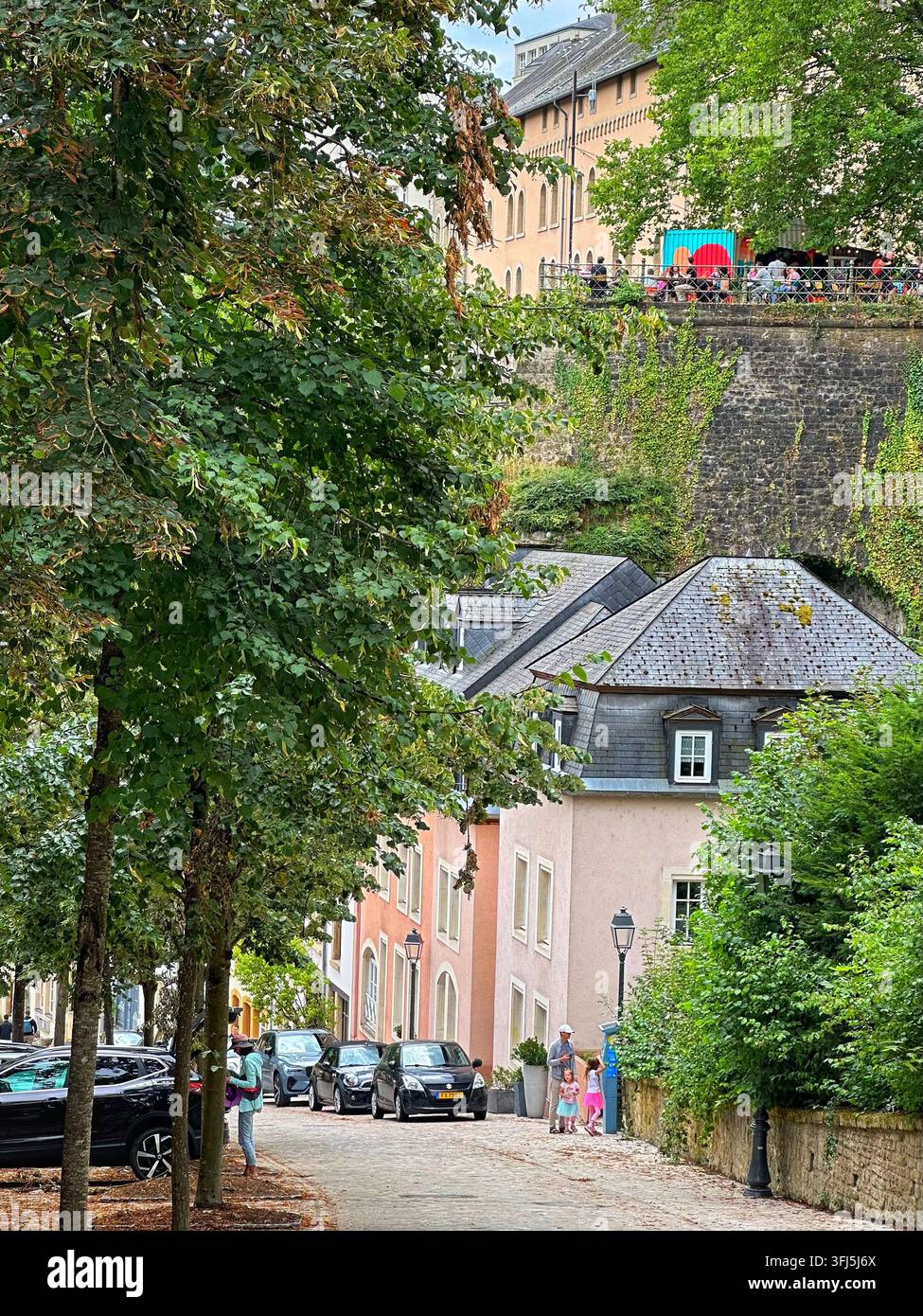 Via scenografica nella vecchia città storica con alberi rigogliosi e architettura antica. Affascinante strada storica europea fiancheggiata da tradizionali case con tetti in ardesia Foto Stock