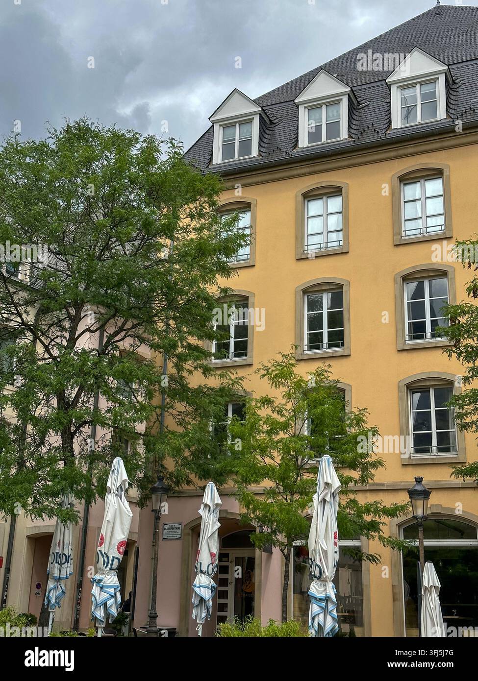 Facciata storica di un edificio giallo con finestre e alberi verdi. Facciata storica di un edificio giallo con file di finestre simmetriche e tetto in ardesia, pa Foto Stock