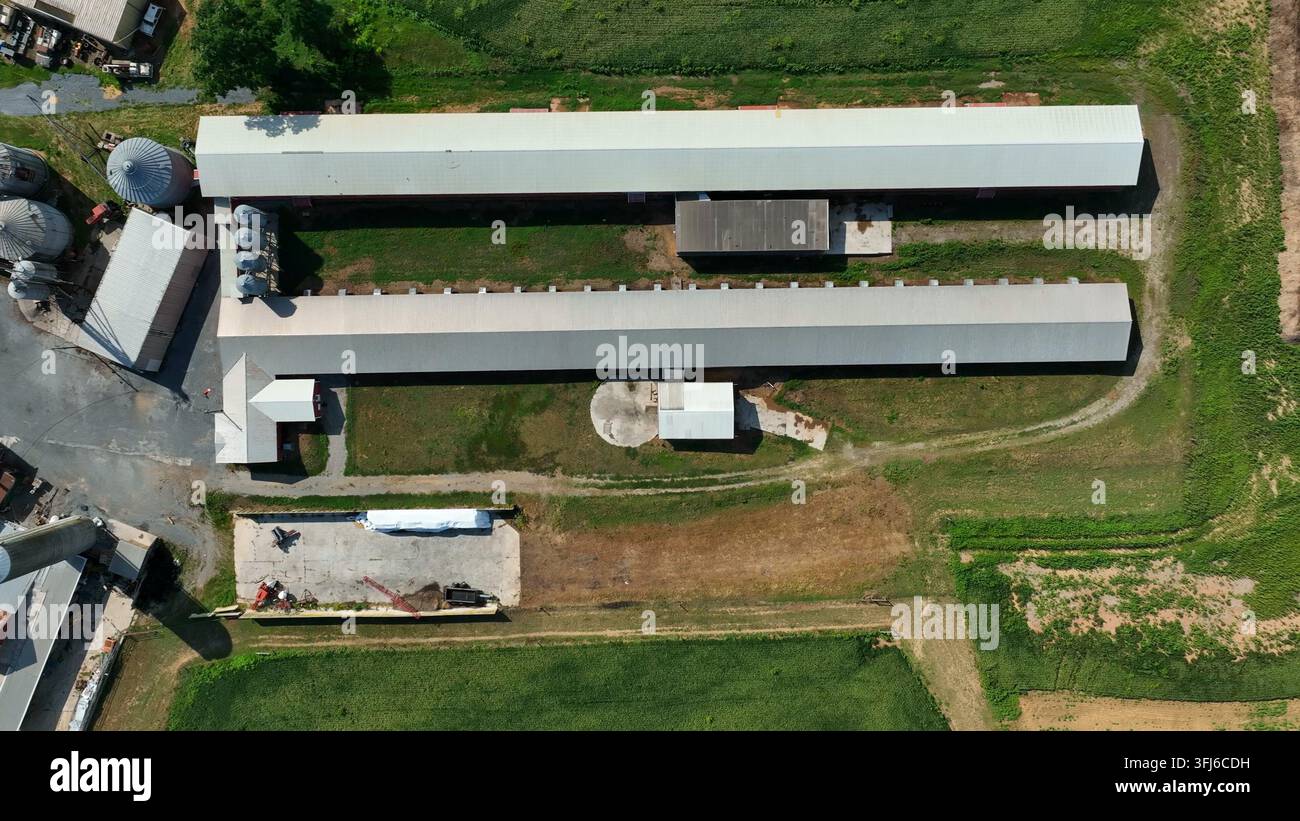 Veduta aerea dall'alto di un allevamento di polli. Tema agricolo rurale americano, Boggs Township, Pennsylvania. Foto Stock