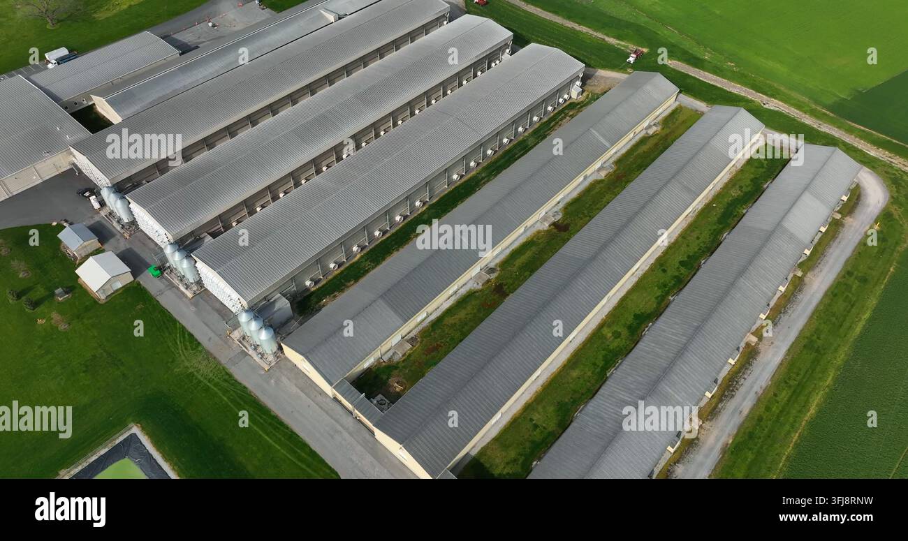 Azienda agricola di pollame. Veduta aerea di un enorme complesso industriale negli USA, East Donegal Township, Pennsylvania. Foto Stock