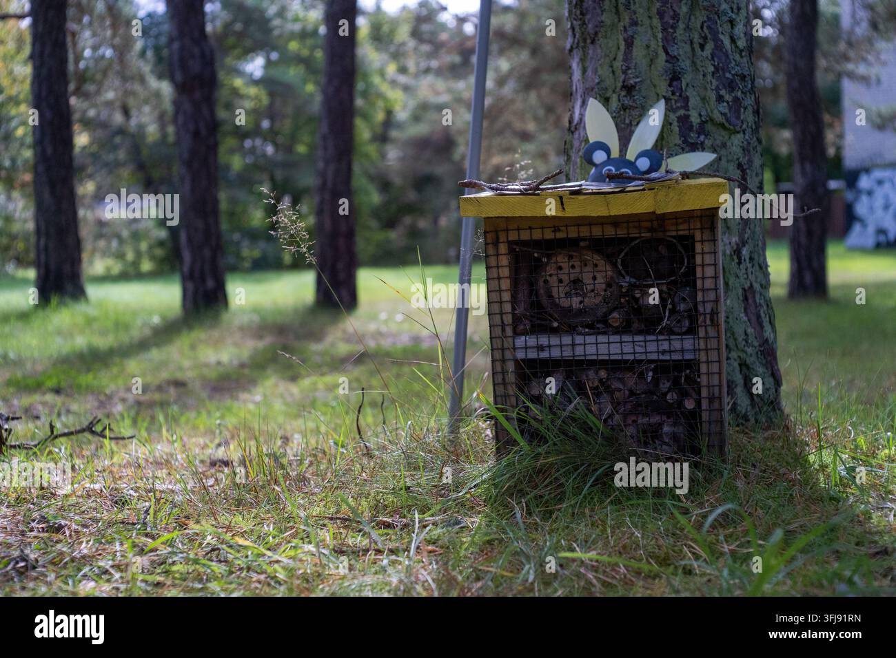 Piccolo hotel per insetti in legno riempito con materiali naturali e posizionato accanto a un albero in un'area verde all'aperto. Foto Stock
