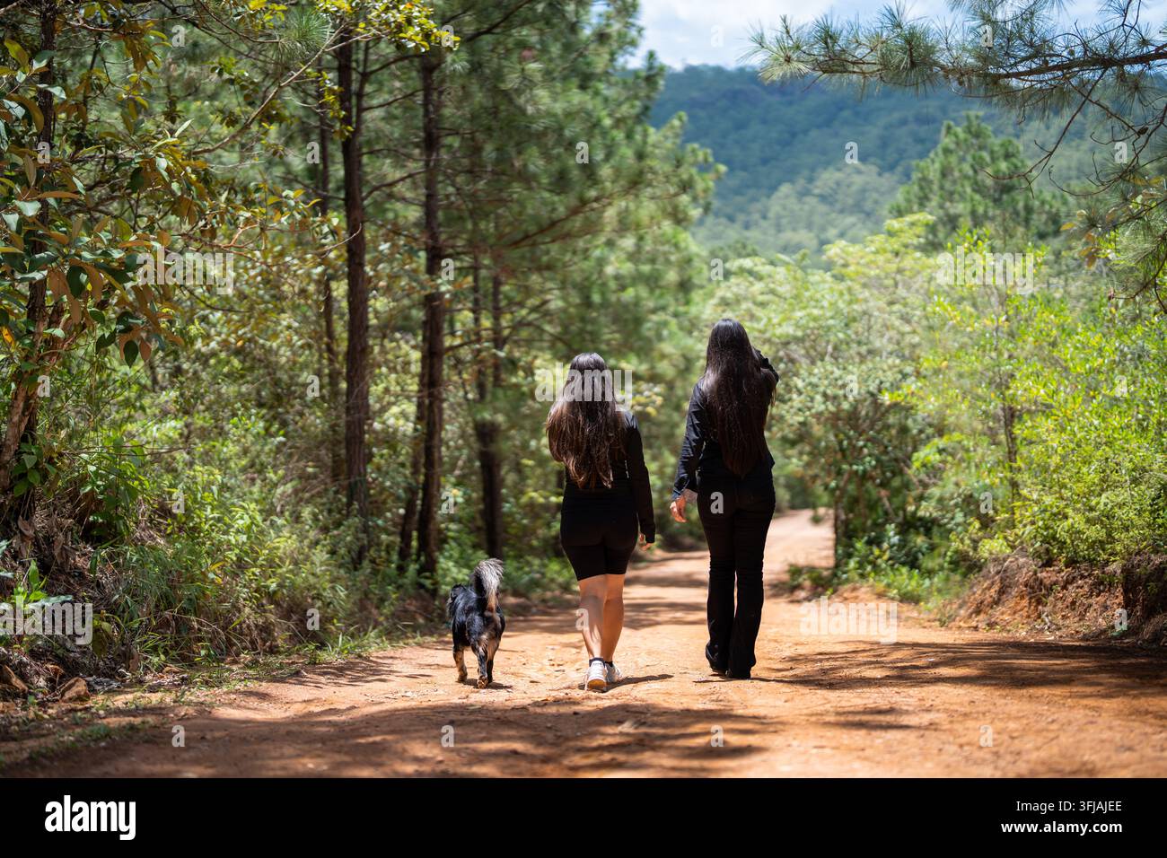 Due giovani donne vestite di nero si allontanano dalla telecamera con il loro cane lungo un sentiero sterrato nel bosco. Foto Stock