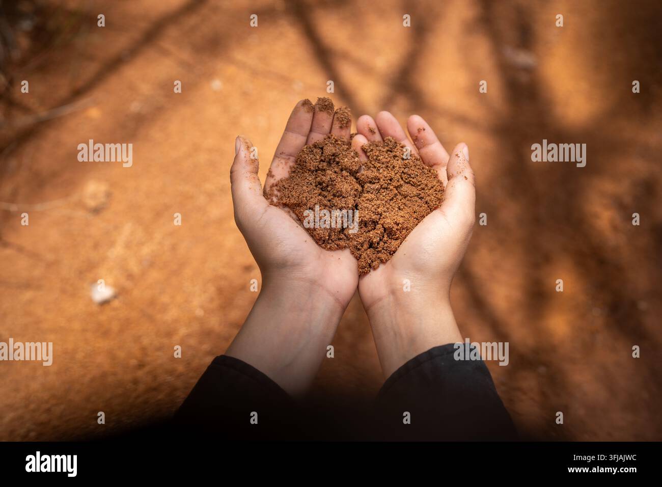 Prima vista di mani aperte che tengono una manciata di terra argillosa rossa nella natura Foto Stock