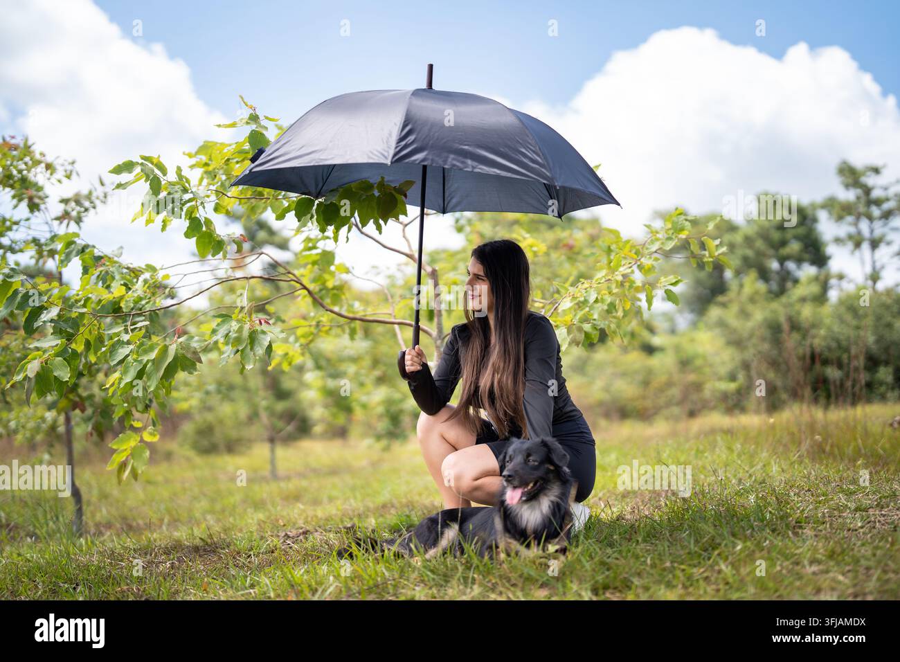 Giovane donna accovacciata con un ombrello nero che fornisce ombra al suo cane in un campo verde Foto Stock