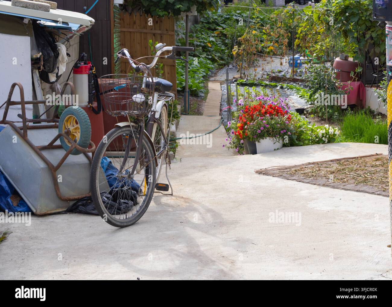 Bicicletta quotidiana parcheggiata accanto a un rigoglioso orto con piante fiorite in uno spazio residenziale compatto all'aperto Foto Stock